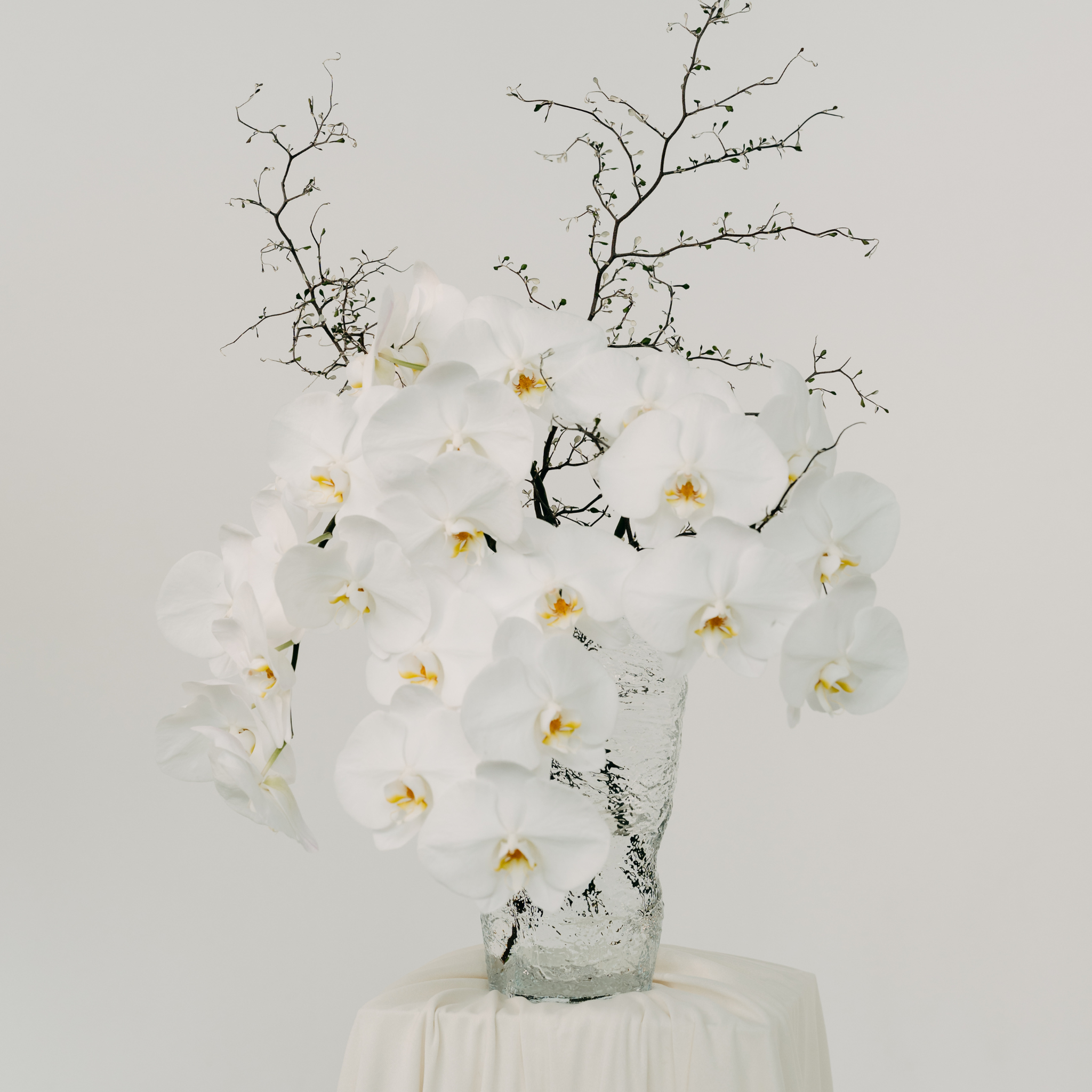 White orchids in a clear vase with bare branches on a light gray background