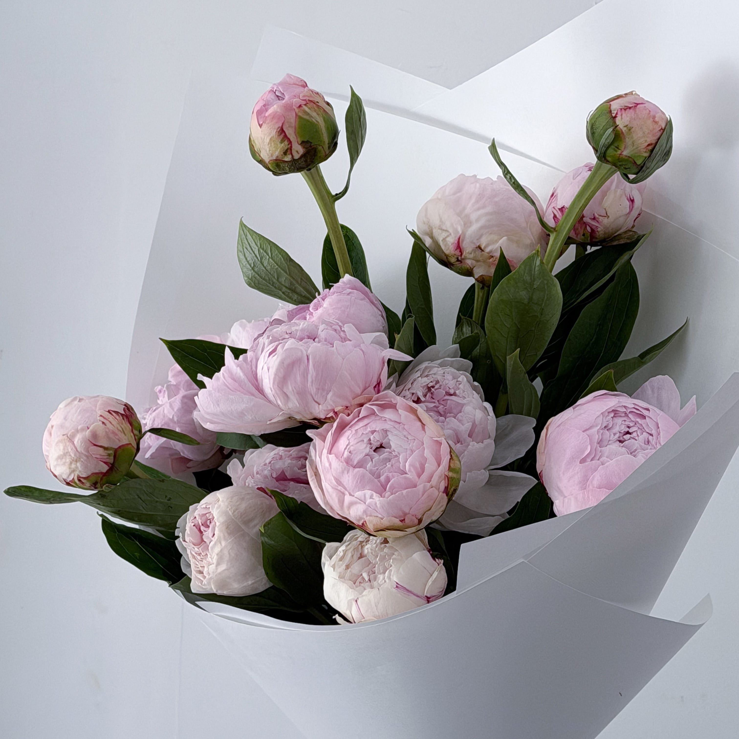 Blush Peony Bouquet