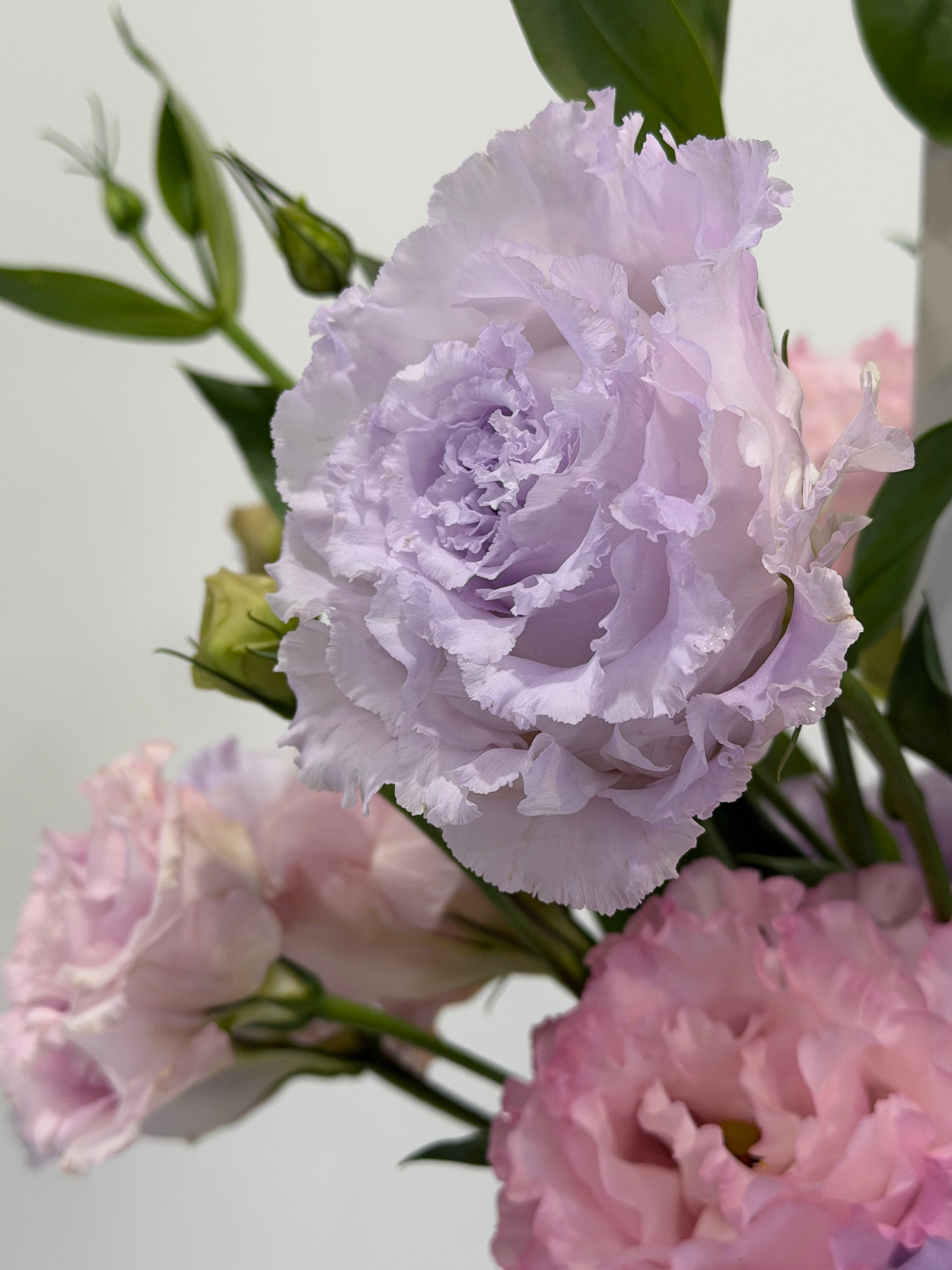 Detail shot of pastel lisianthus floral arrangement in soft pink and lilac tones
