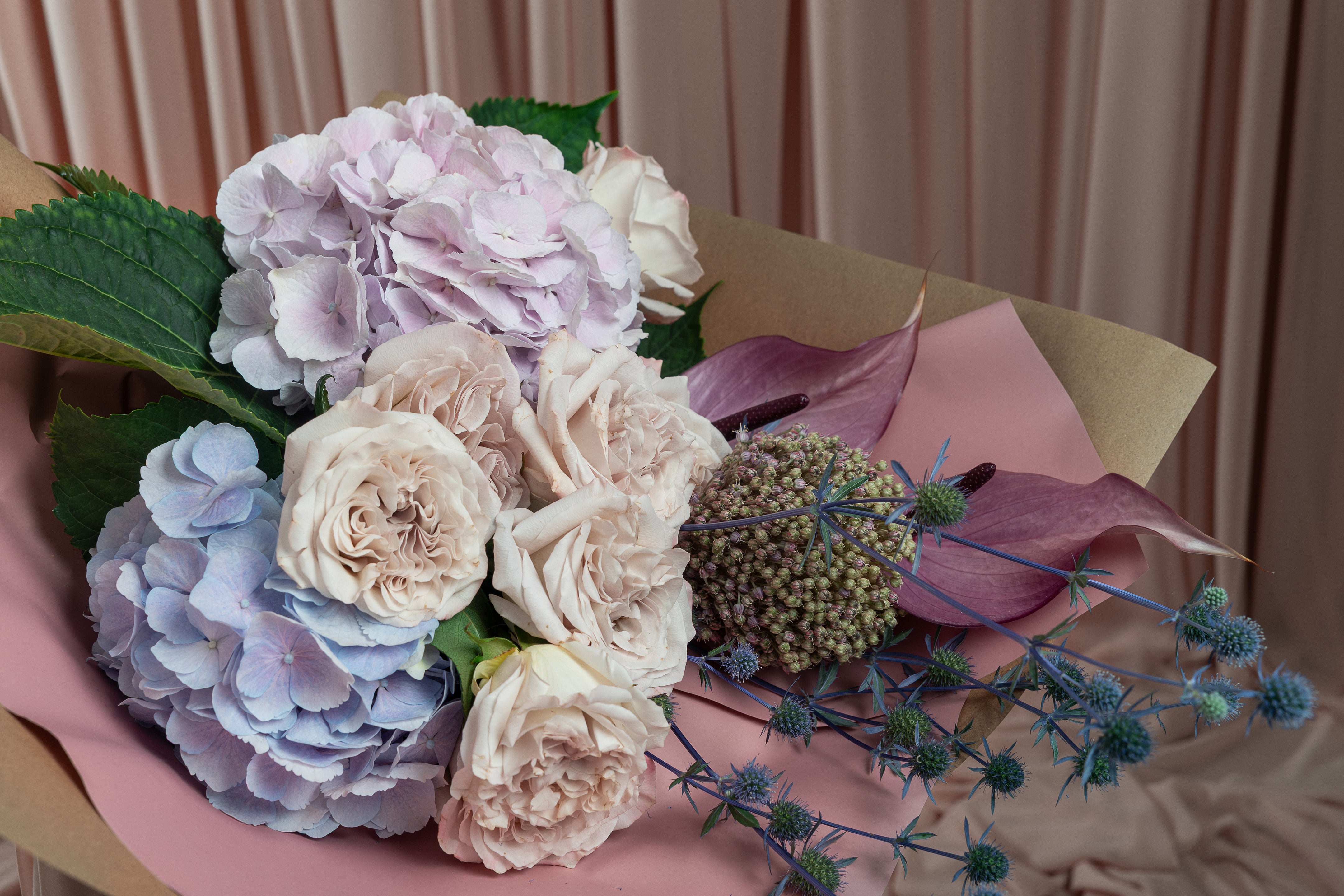 Close-up blush roses and hydrangea bouquet Maison Bloomé Adelaide florist