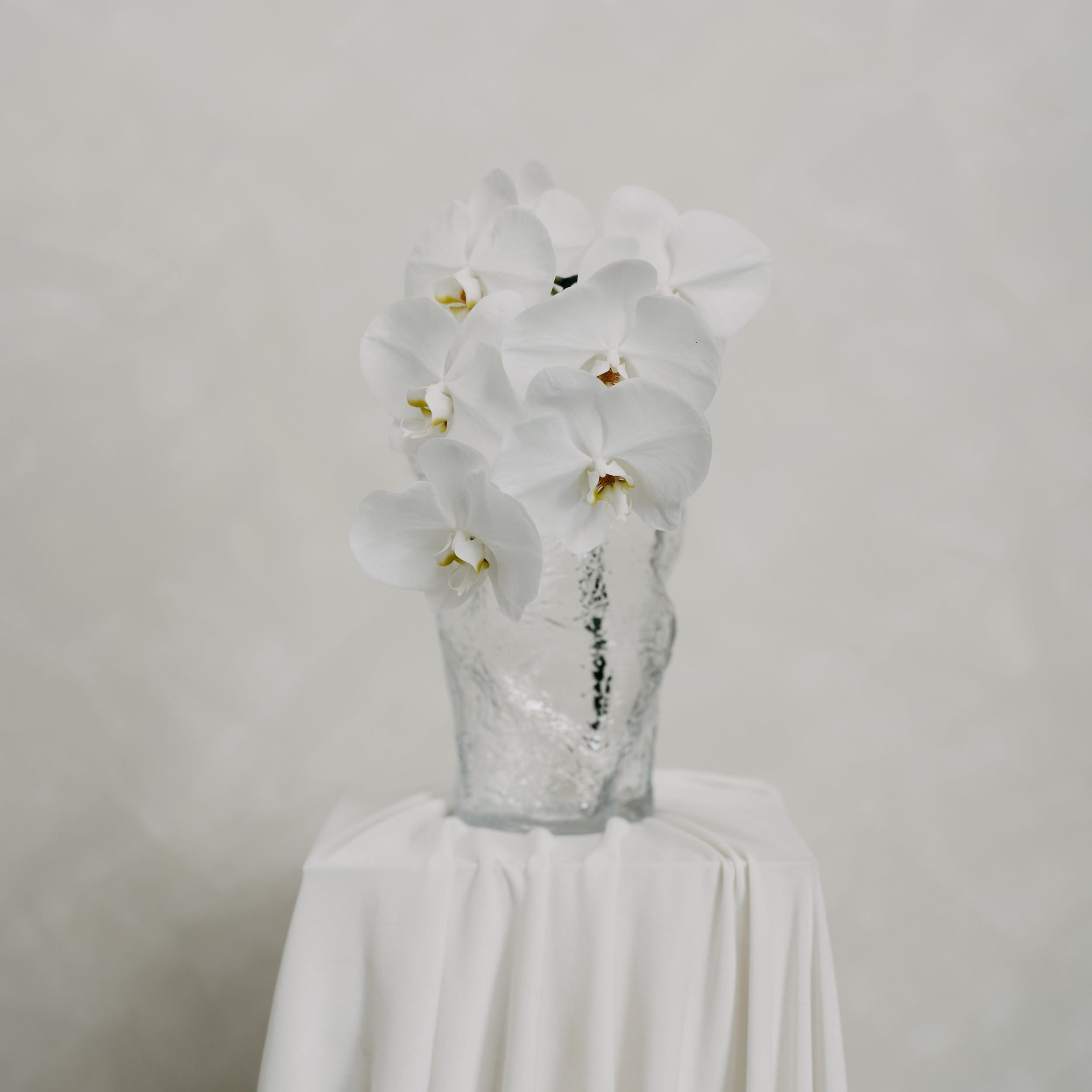 glass flower vase Maison Bloomé Adelaide florist