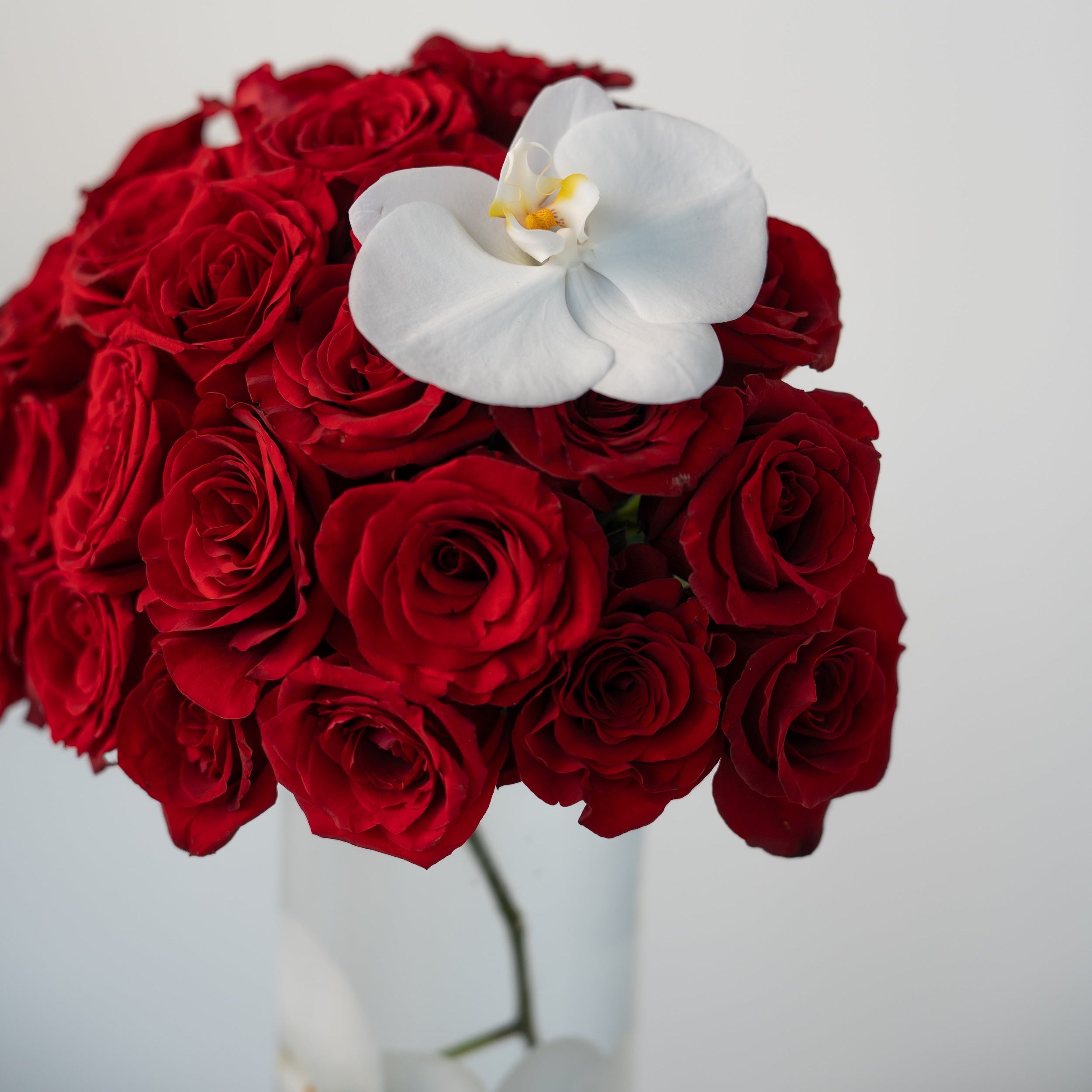 Detail of red rose arrangement with white orchid by Maison Bloomé florist Adelaide