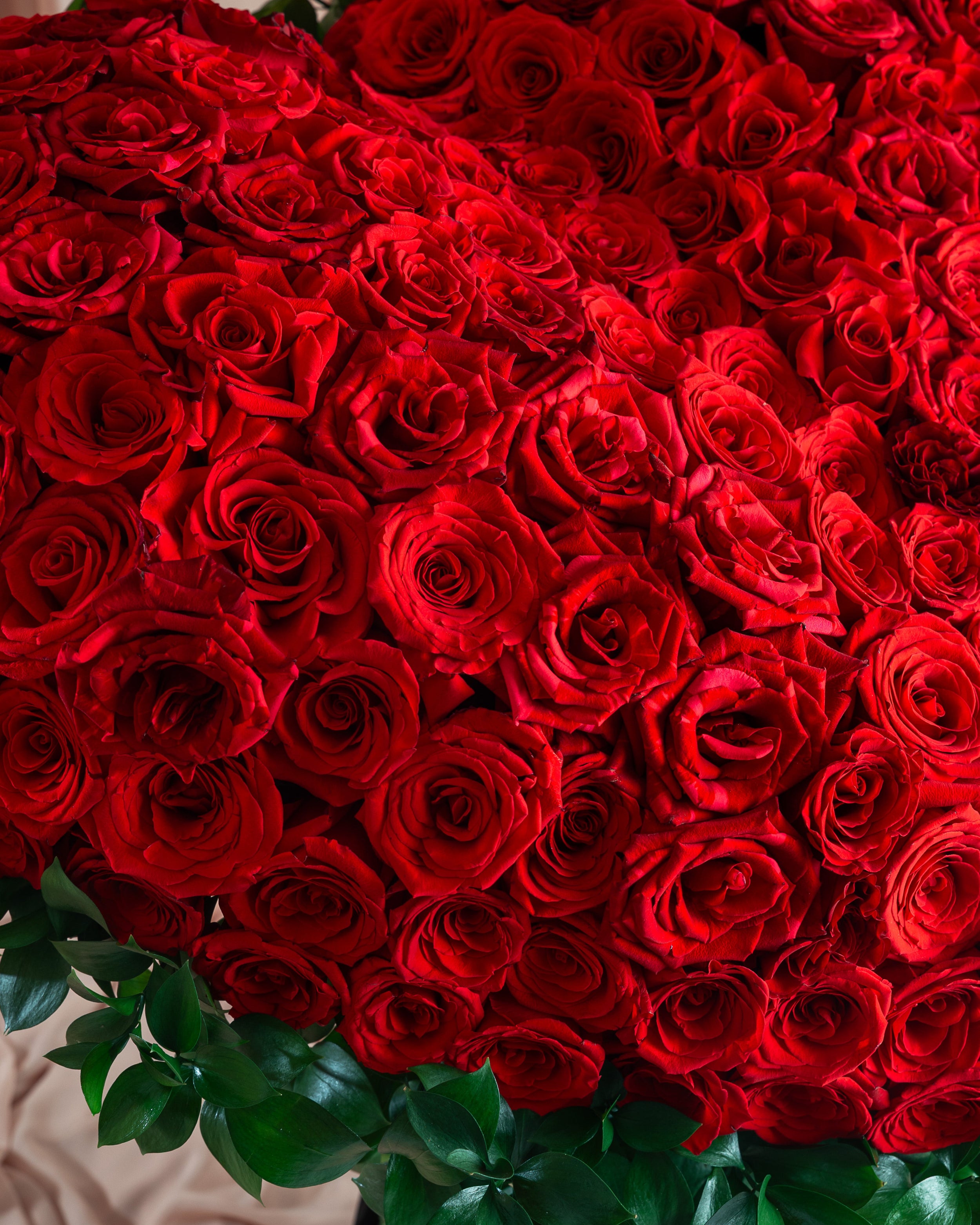 Close-up of red Ecuadorian rose heart arrangement Adelaide same day delivery