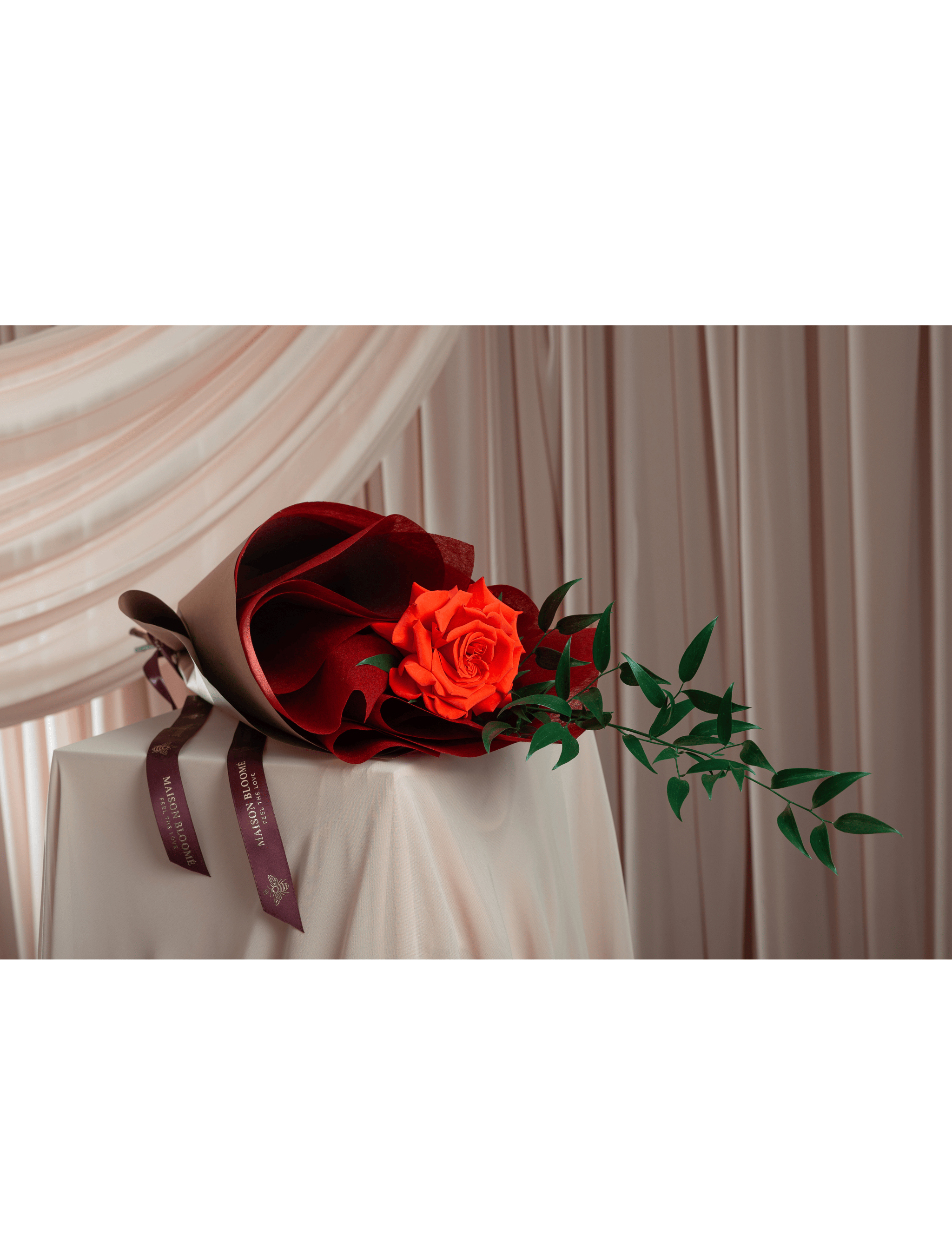 Single Ecuadorian red rose wrapped Maison Bloomé Adelaide florist