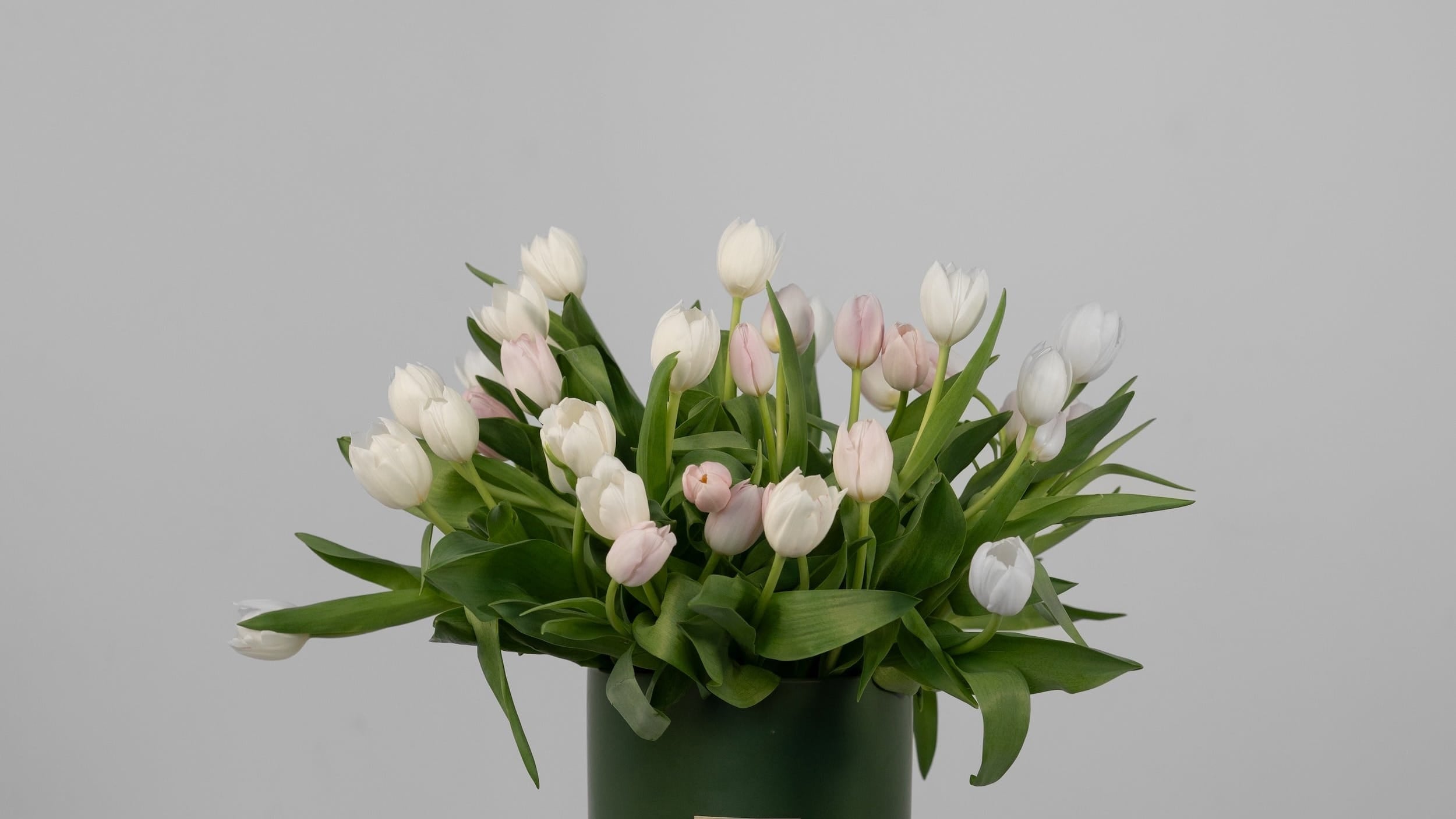 Tulip bouquet Adelaide by Maison Bloomé florist, available for same day delivery