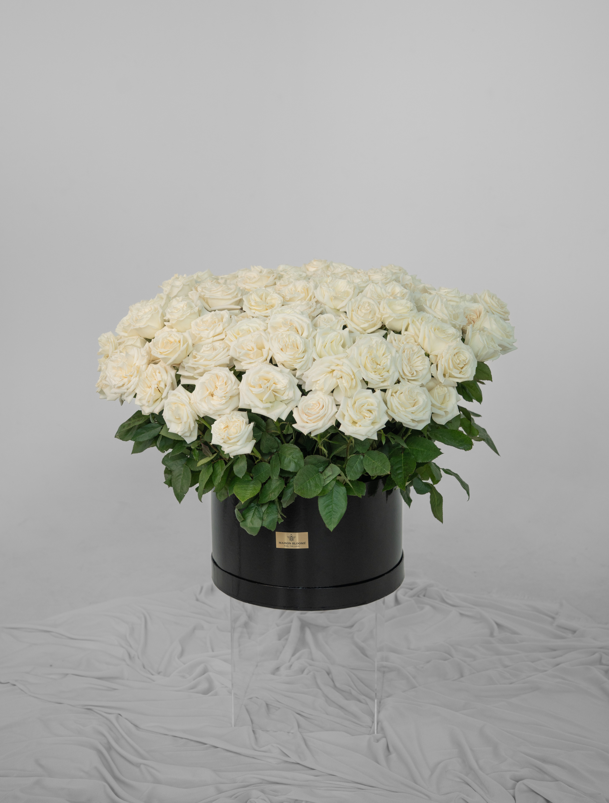 Large white rose arrangement Adelaide same day delivery Maison Bloomé