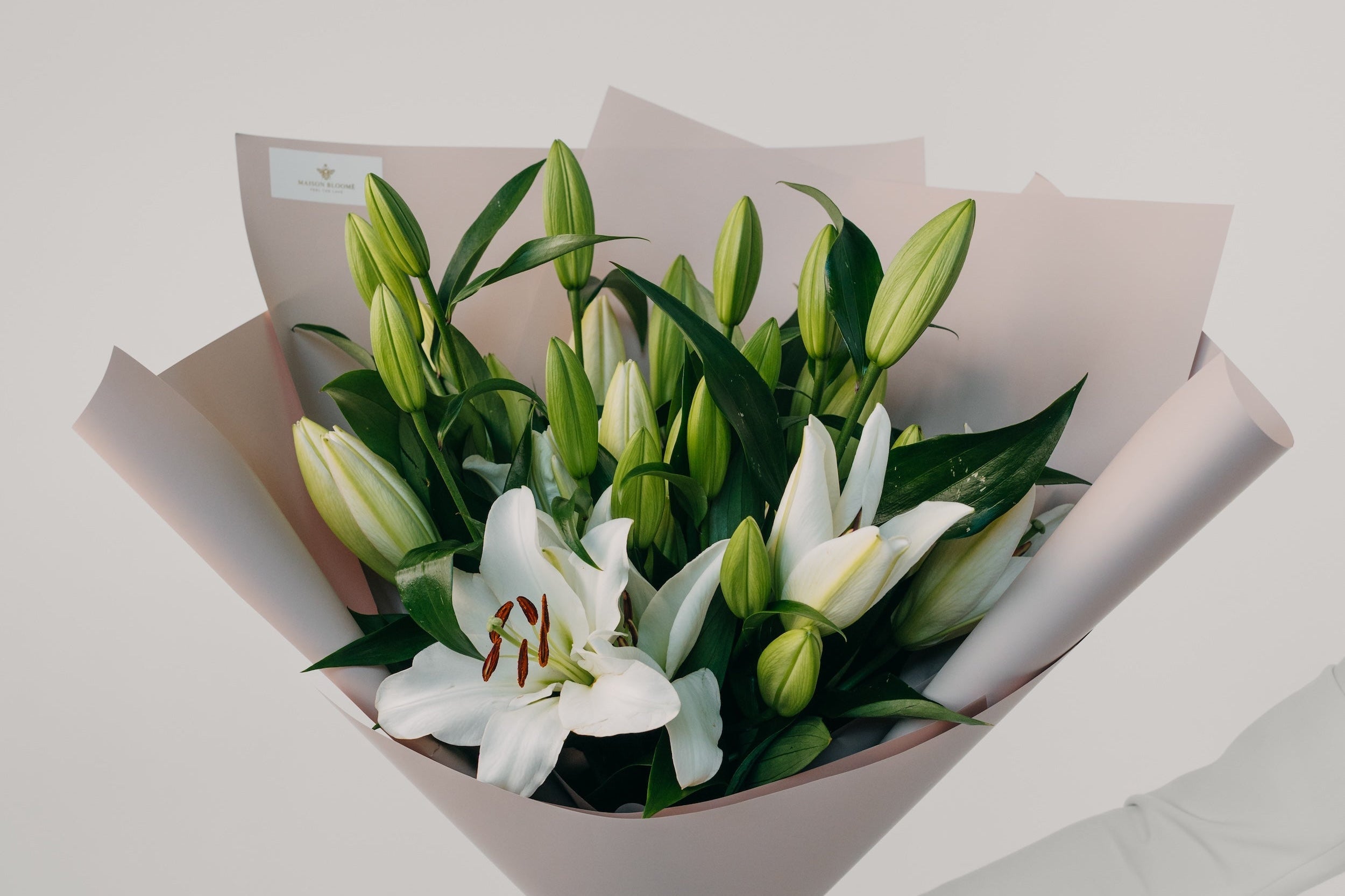 Fresh white lily bouquet with greenery wrapped in paper by Maison Bloomé Adelaide florist