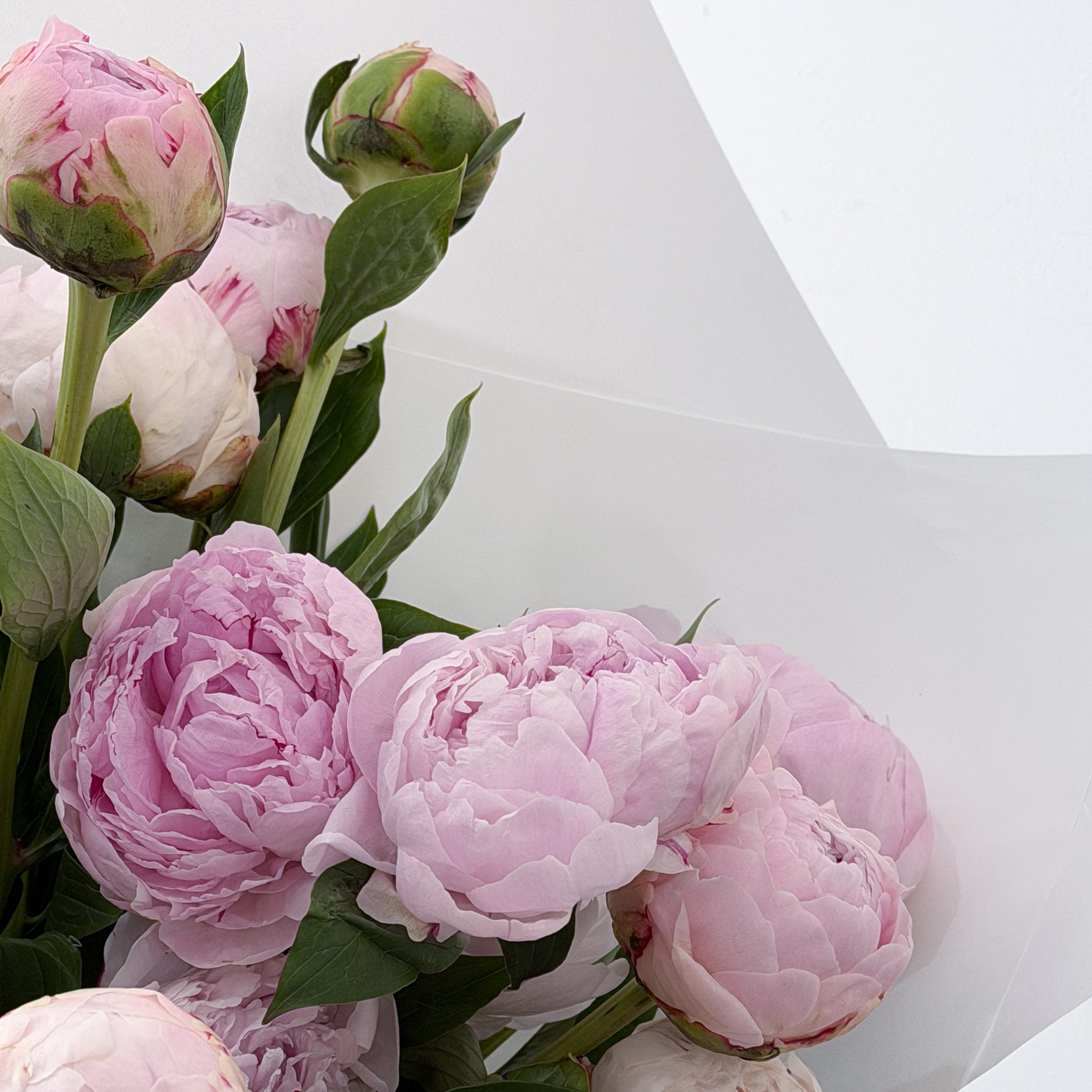 Blush Peony Bouquet