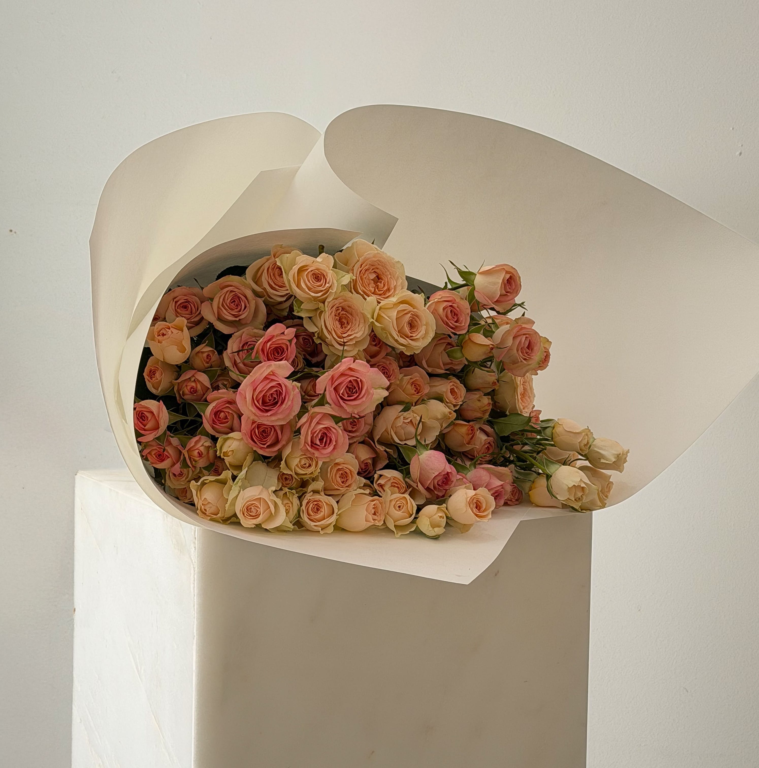 20-stem blush spray rose bouquet in signature white wrapping by Maison Bloomé, Adelaide.