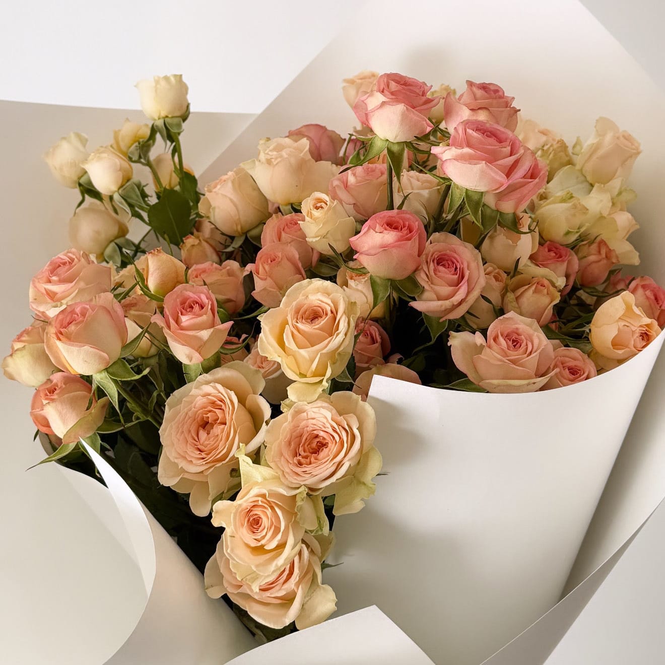     Close-up of premium blush spray roses in soft pink and cream tones.