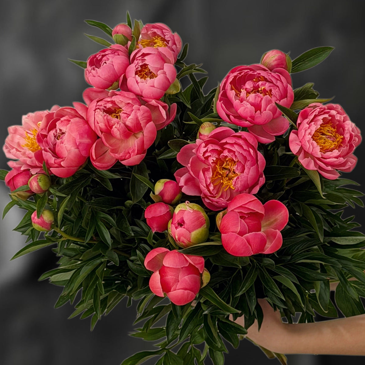 Fresh Peony Bouquets
