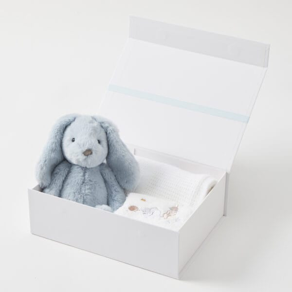 Bunny Hamper Gift Set - Pale Blue