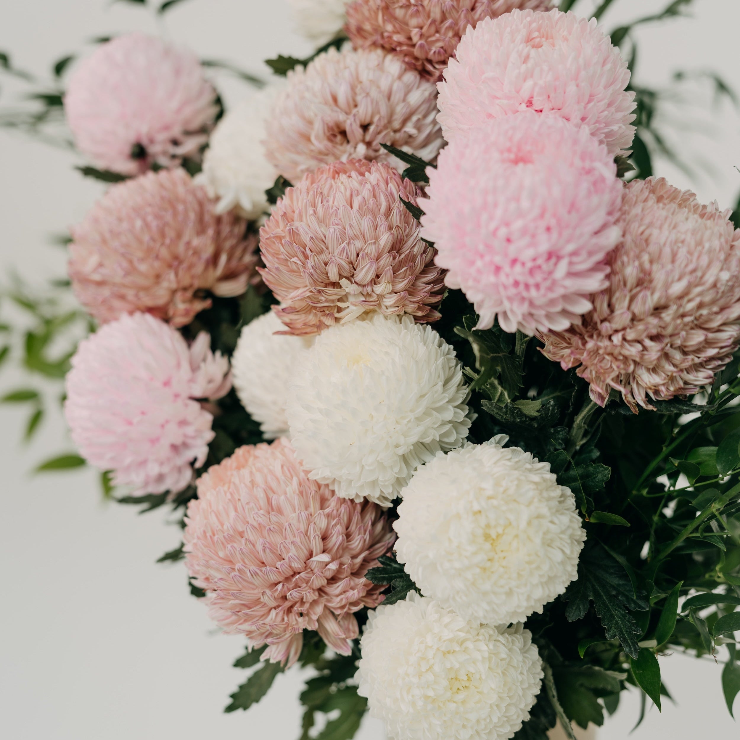chrysanthemum bouquet Maison Bloomé Adelaide florist