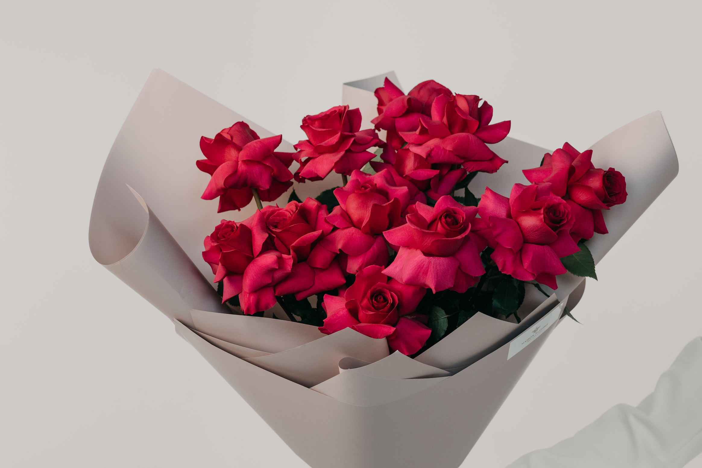 Premium Ecuadorian hot pink  rose bouquet with large blooms wrapped in paper by Maison Bloomé Adelaide florist