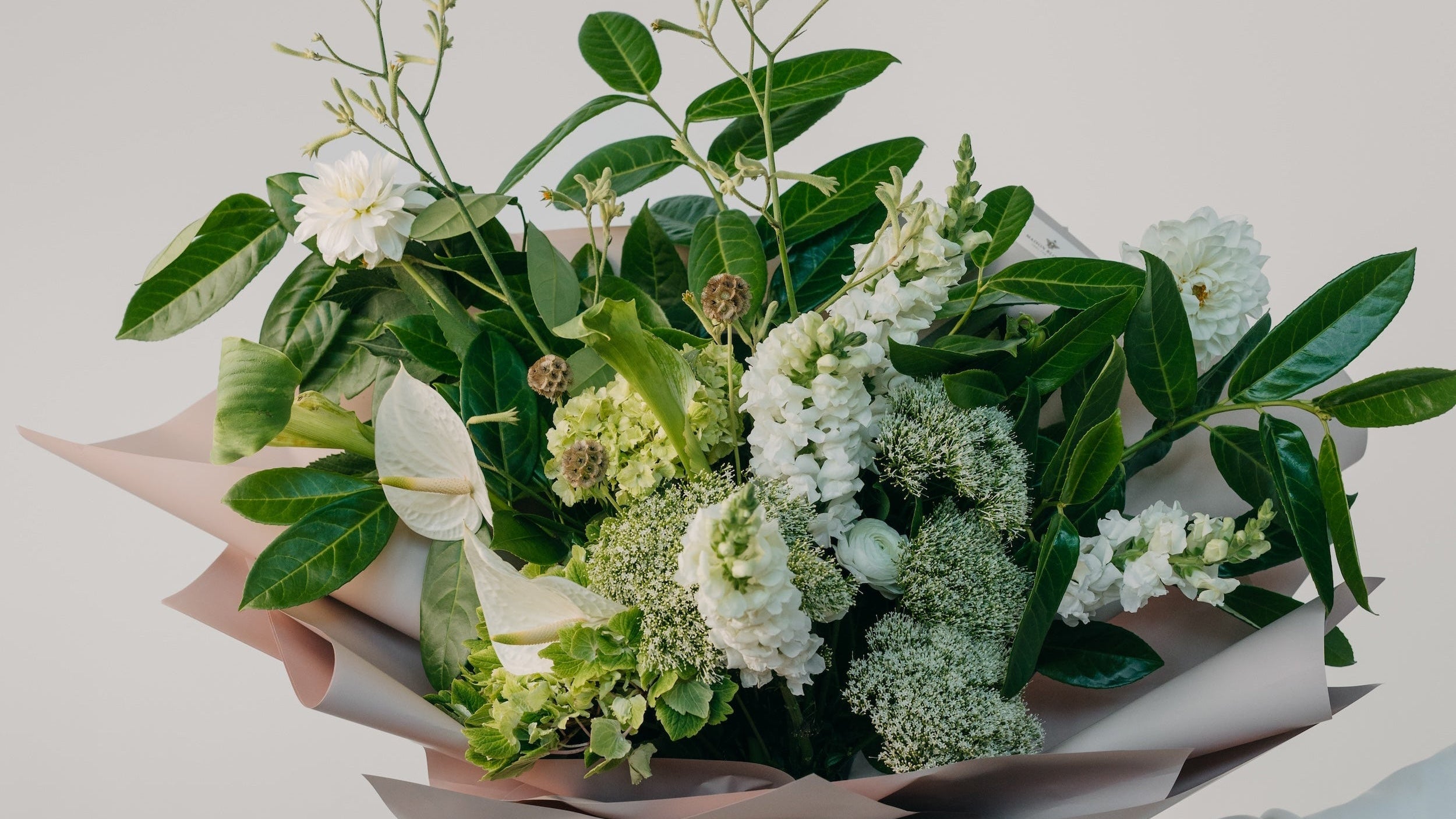 Close-up detail of fresh green and white bouquet with seasonal blooms and foliage by Maison Bloomé Adelaide florist