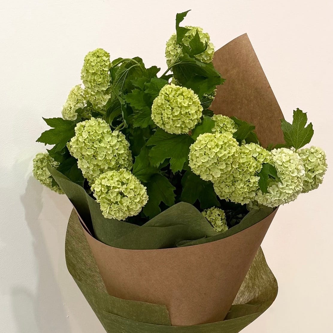 Lime-green snowball bouquet in olive and kraft wrapping, tied with a pale green ribbon.