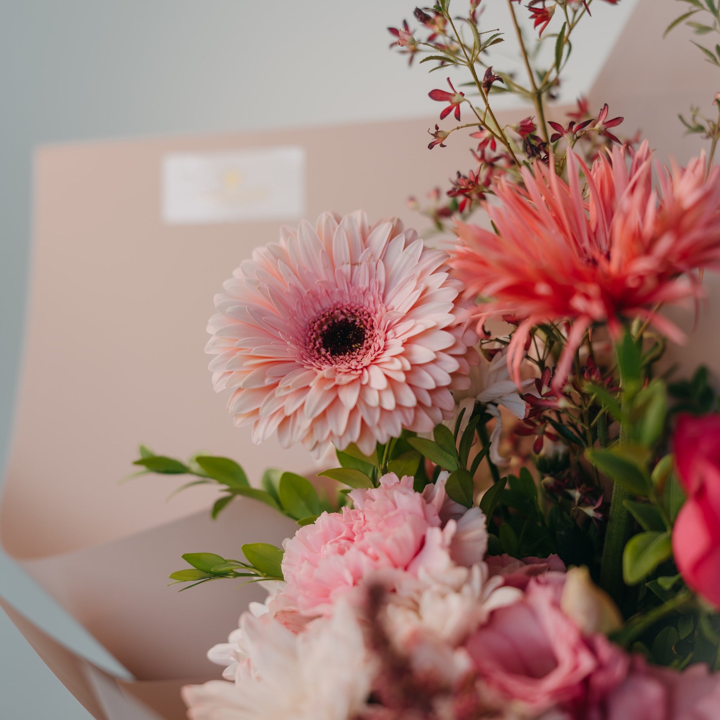 Detail of soft pink bouquet with gerbera and roses by Maison Bloomé florist Adelaide