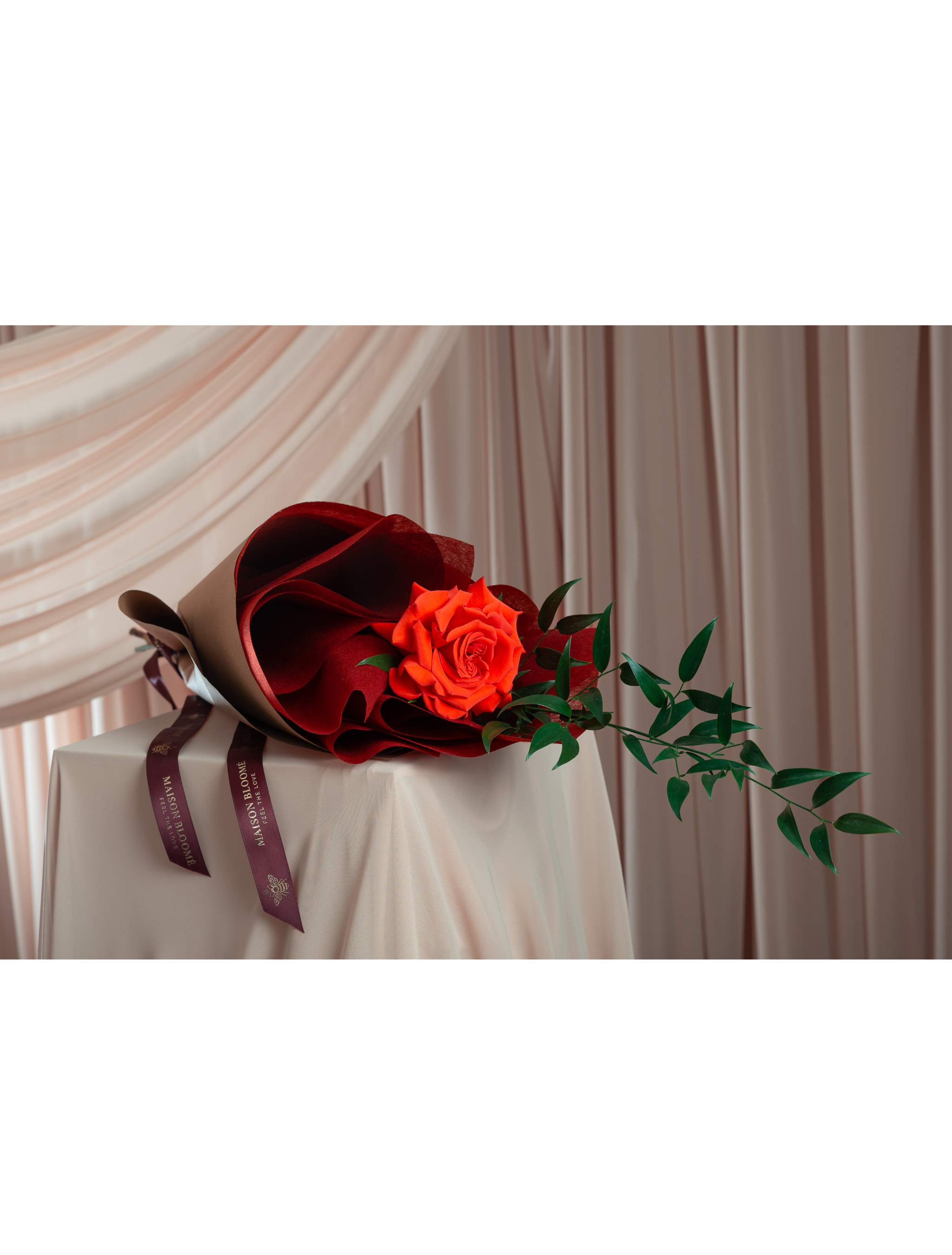 Single Ecuadorian red rose wrapped Maison Bloomé Adelaide florist